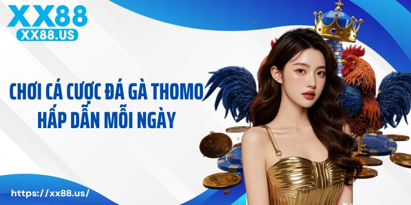 Chơi cá cược đá gà Thomo hấp dẫn mỗi ngày