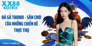Đá Gà Thomo - Sân Chơi Của Những Chiến Kê Thực Thụ